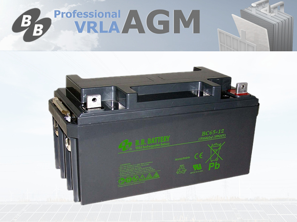 BB蓄电池BC65-12