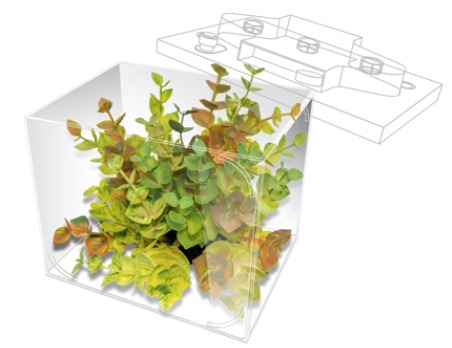 美美公司——绿色行动